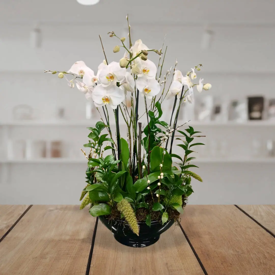 Arreglo Floral Luctuoso Orquídeas Personnel