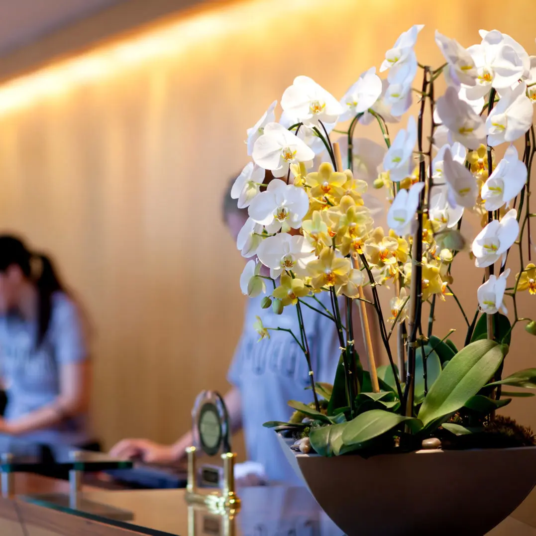 Arreglo Floral para Lobby de Hotel