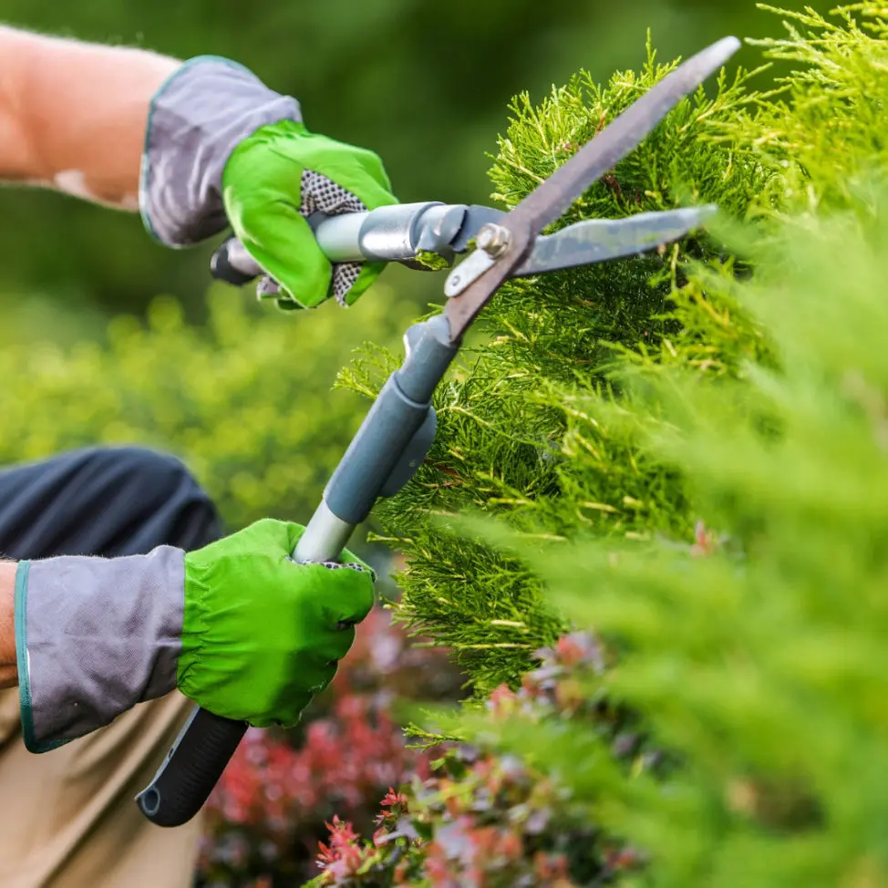 Jardinería Personnel