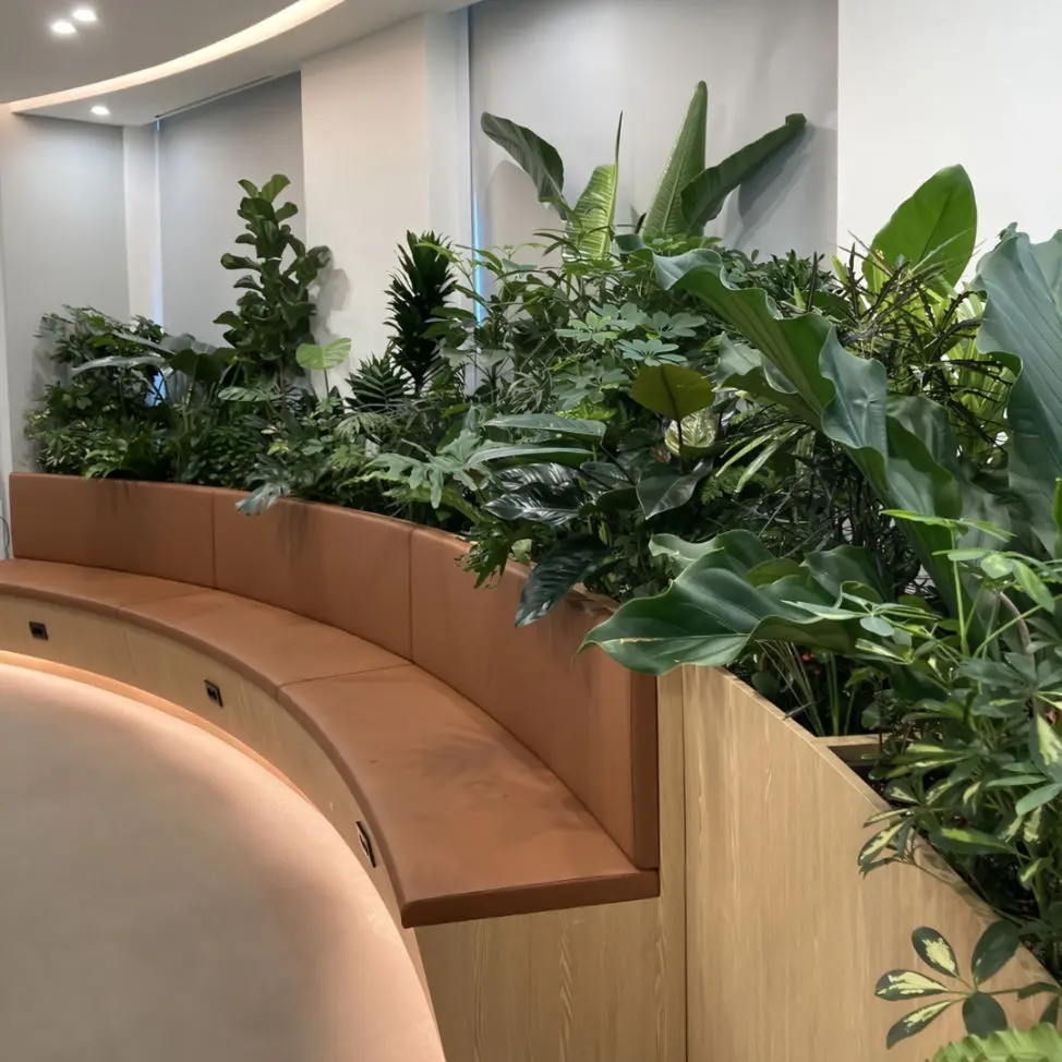 Plantas para Oficinas